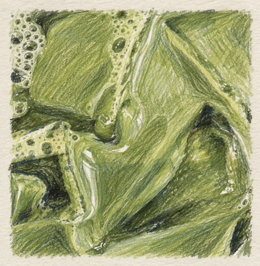 Illustration of swirled matcha